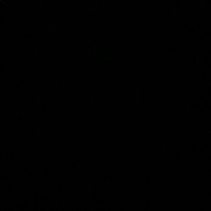 Meet your Posher, Leyla